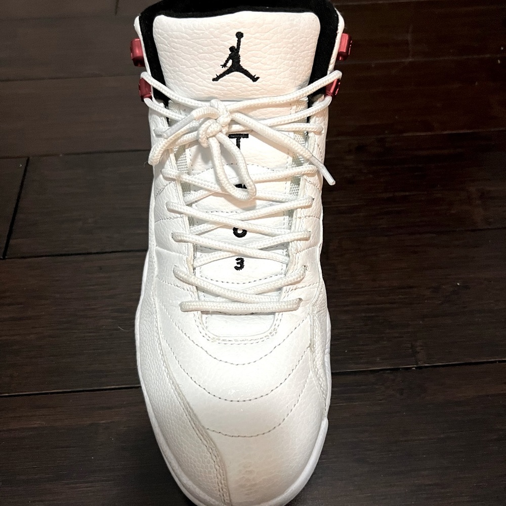 COPY - Air Jordan 12 retro twist size 9.5